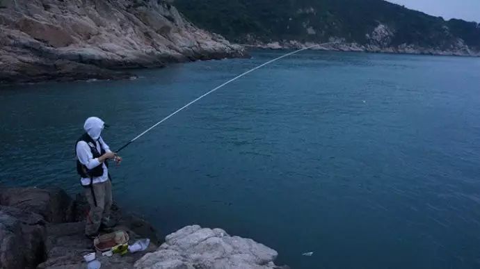 海钓金蝉的方法(海金蝉多少钱一只)