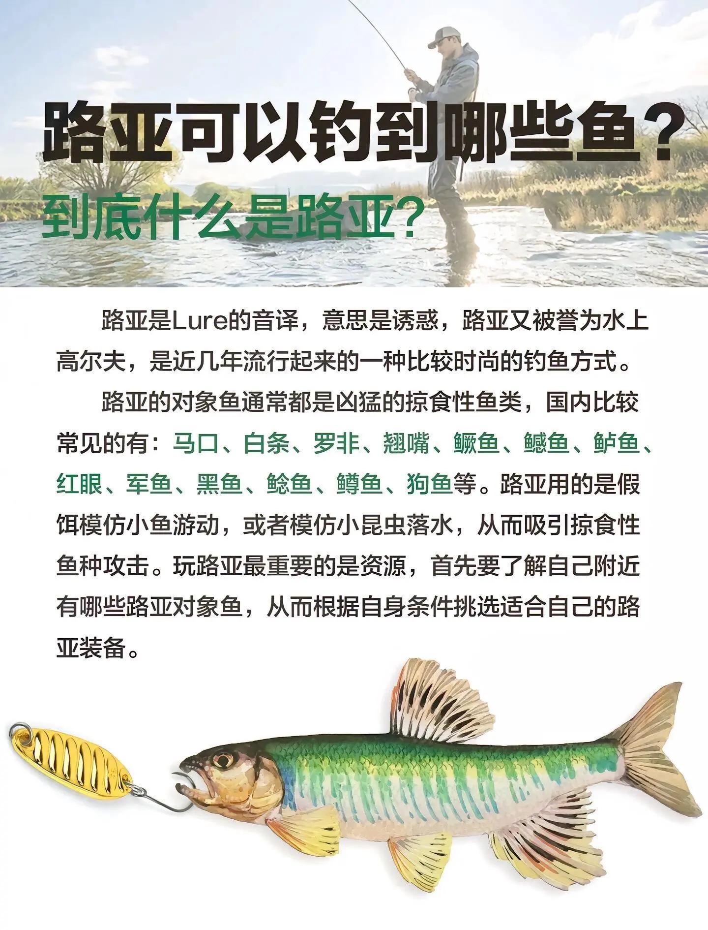路亚英文术语(路亚钓的英文是什么)