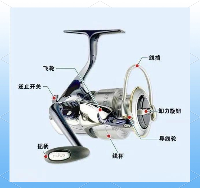 渔轮的保养方法和技巧(渔轮如何保养)
