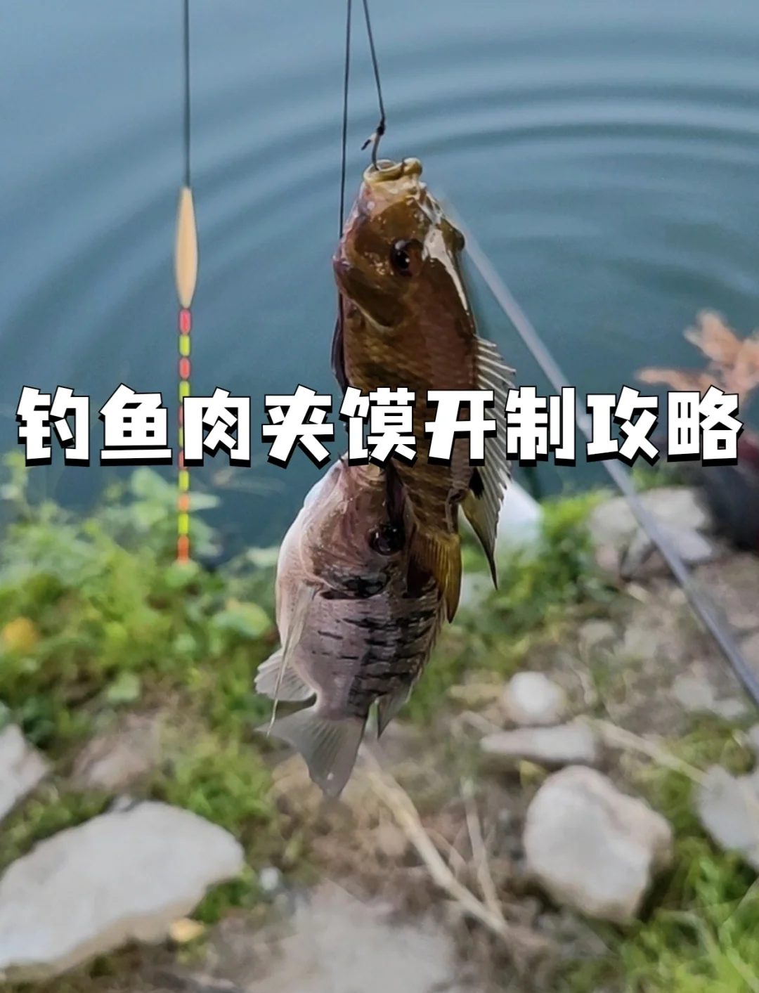 有什么饵料不招小鱼(有什么饵料不招小鱼喜欢)