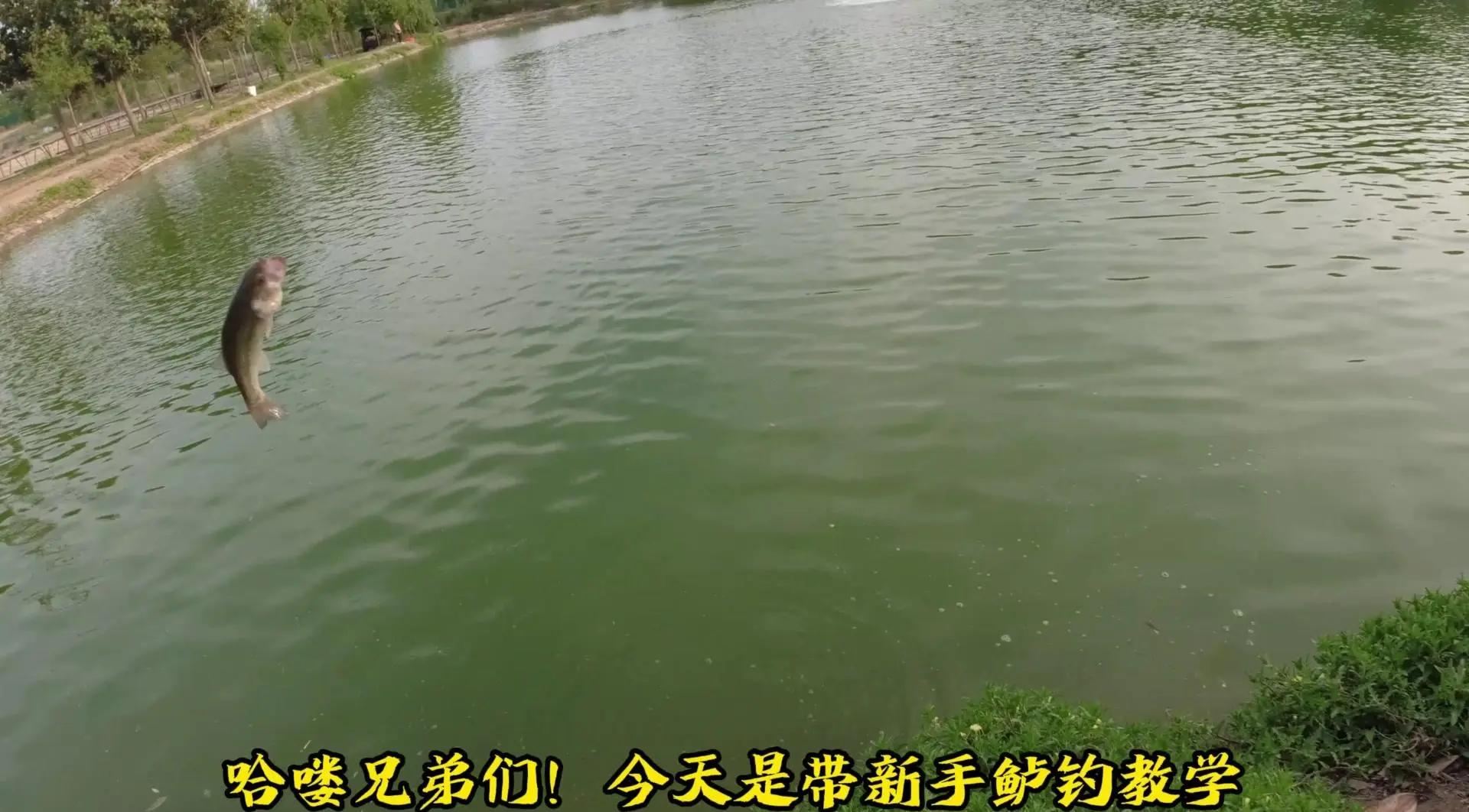 水库冬天路亚鲈鱼技巧(冬天路亚淡水鲈鱼)