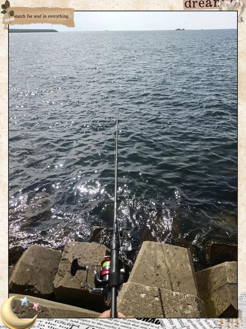 海钓论坛钓鱼翁网(海钓大师)