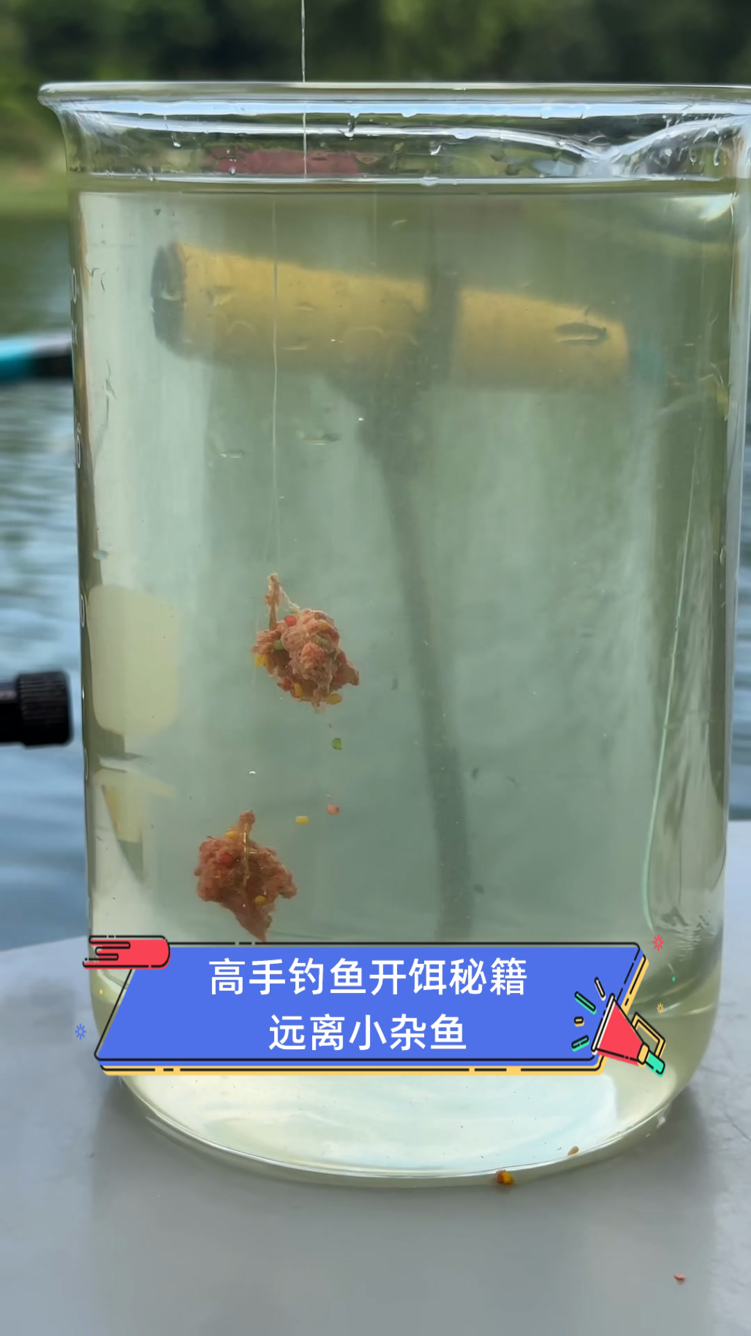 小杂鱼饵料配方(小杂鱼饵料配方比例)
