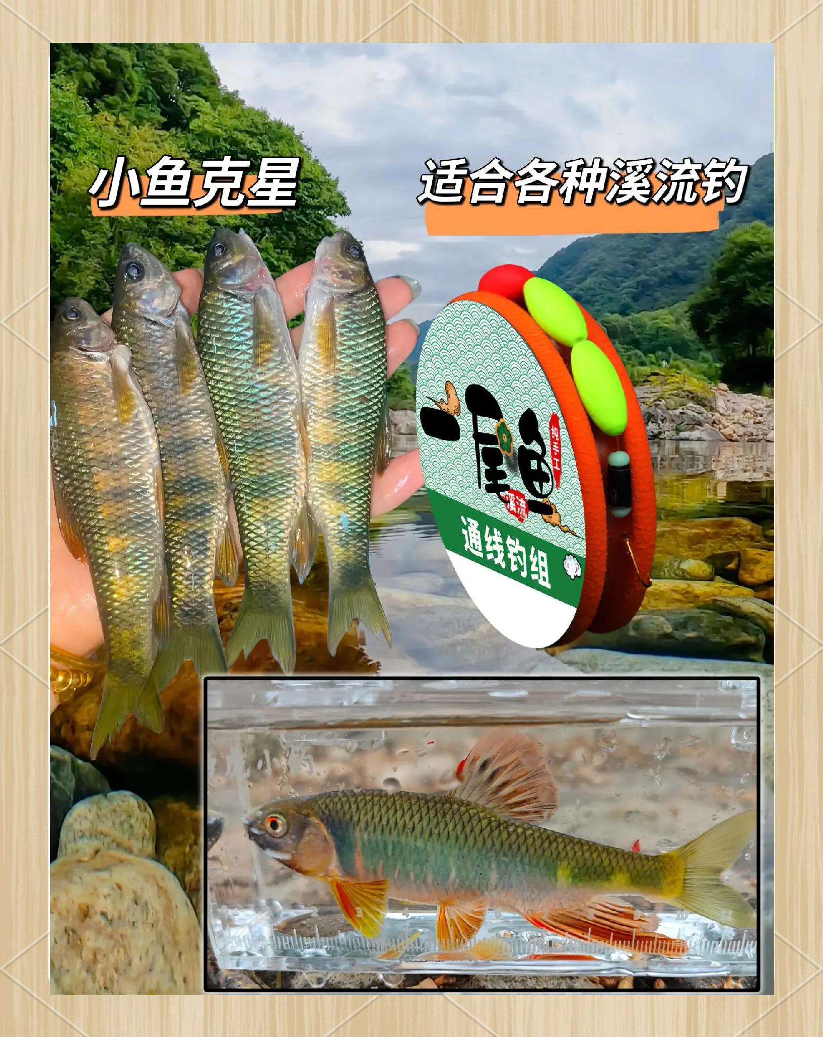 小杂鱼饵料配方(小杂鱼饵料配方比例)
