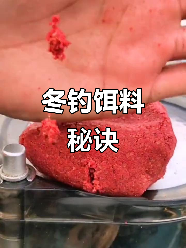 天冷钓鱼什么饵料最好(天冷适合怎么钓鱼)