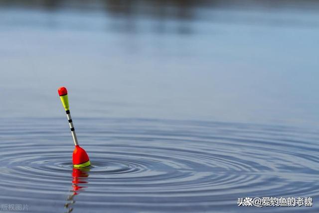 雨后阴天钓鱼技巧(雨后阴天钓鱼技巧和方法)