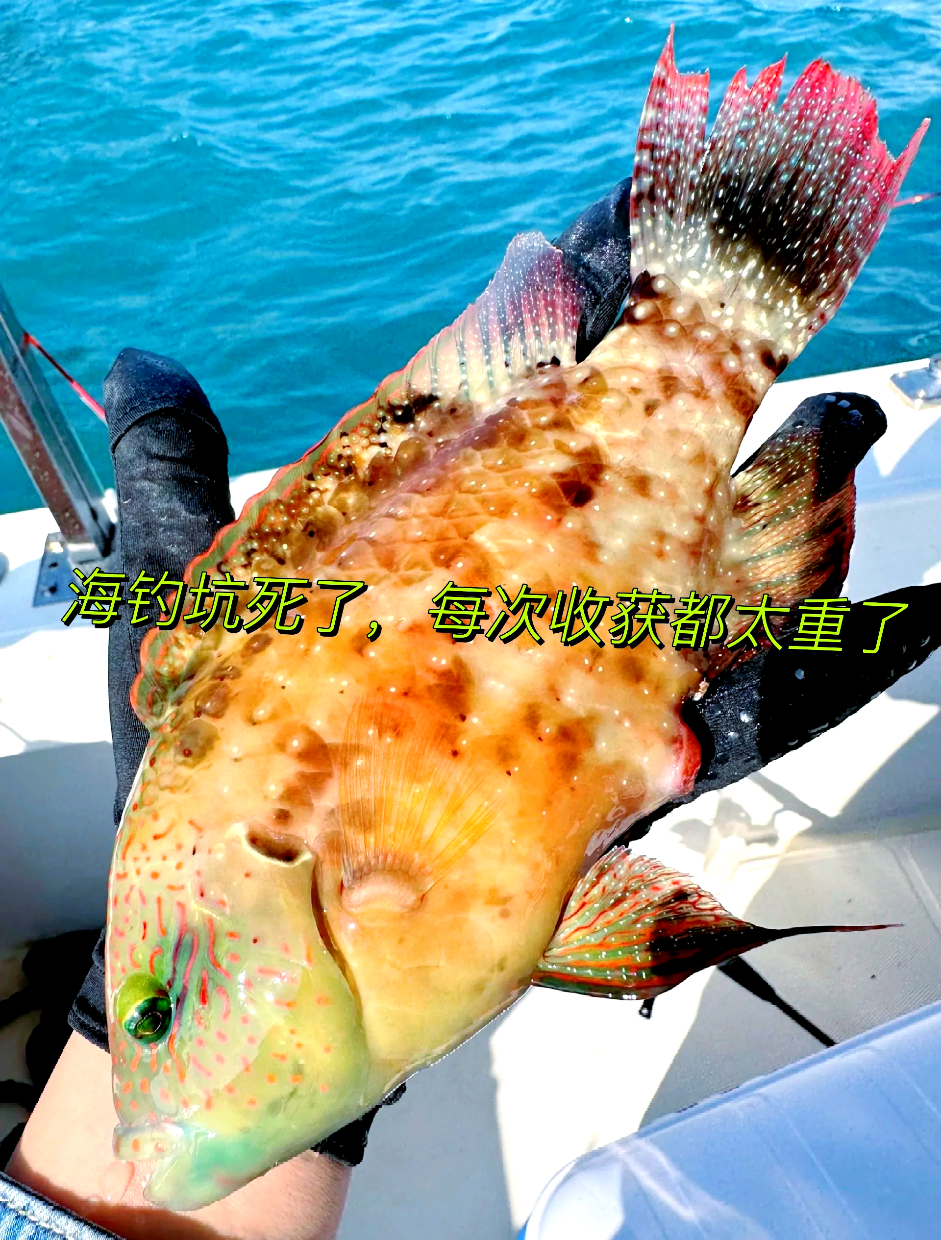 蜈支洲海钓(蜈支洲后海钓鱼)
