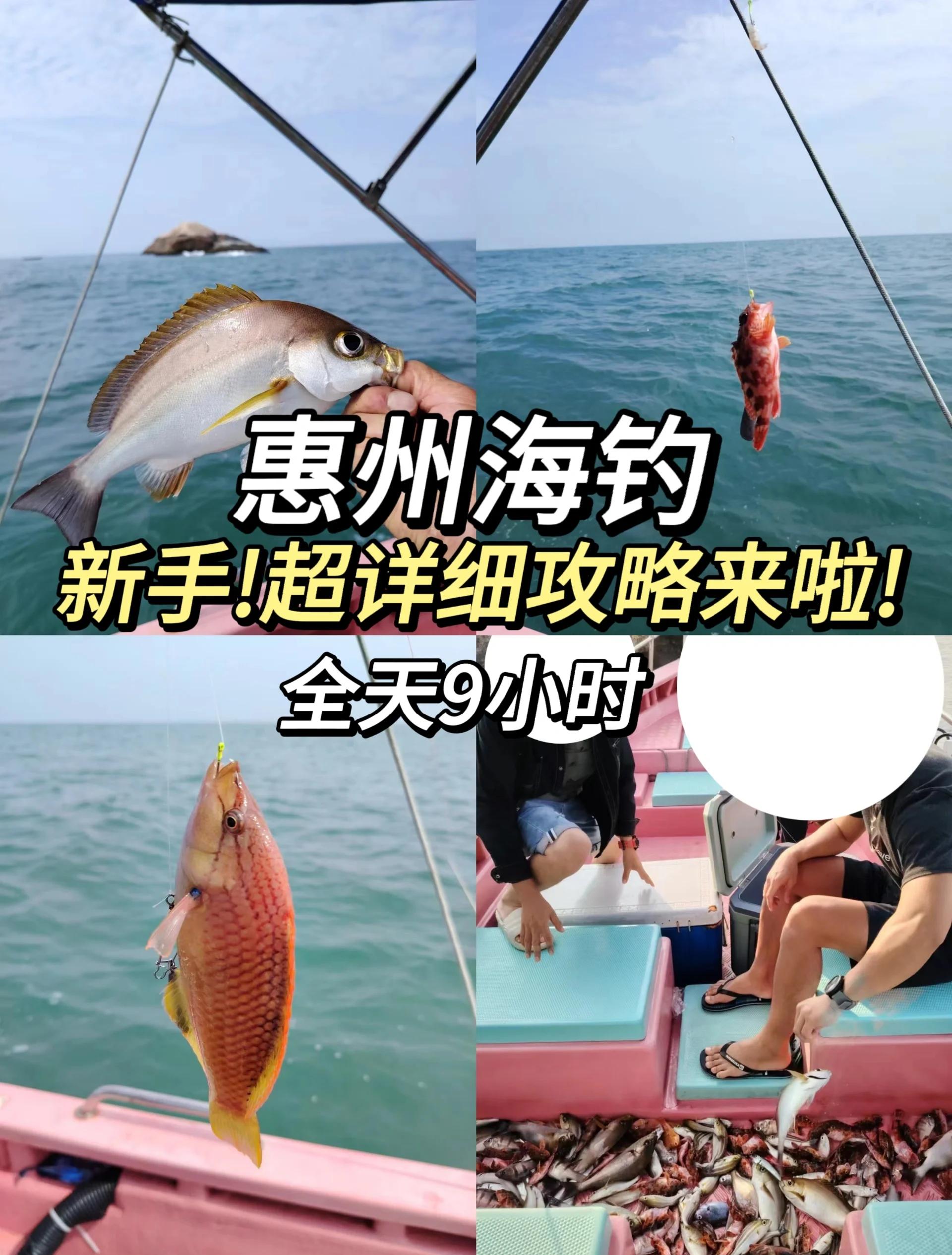 海钓线能台钓吗(海钓线能台钓吗)