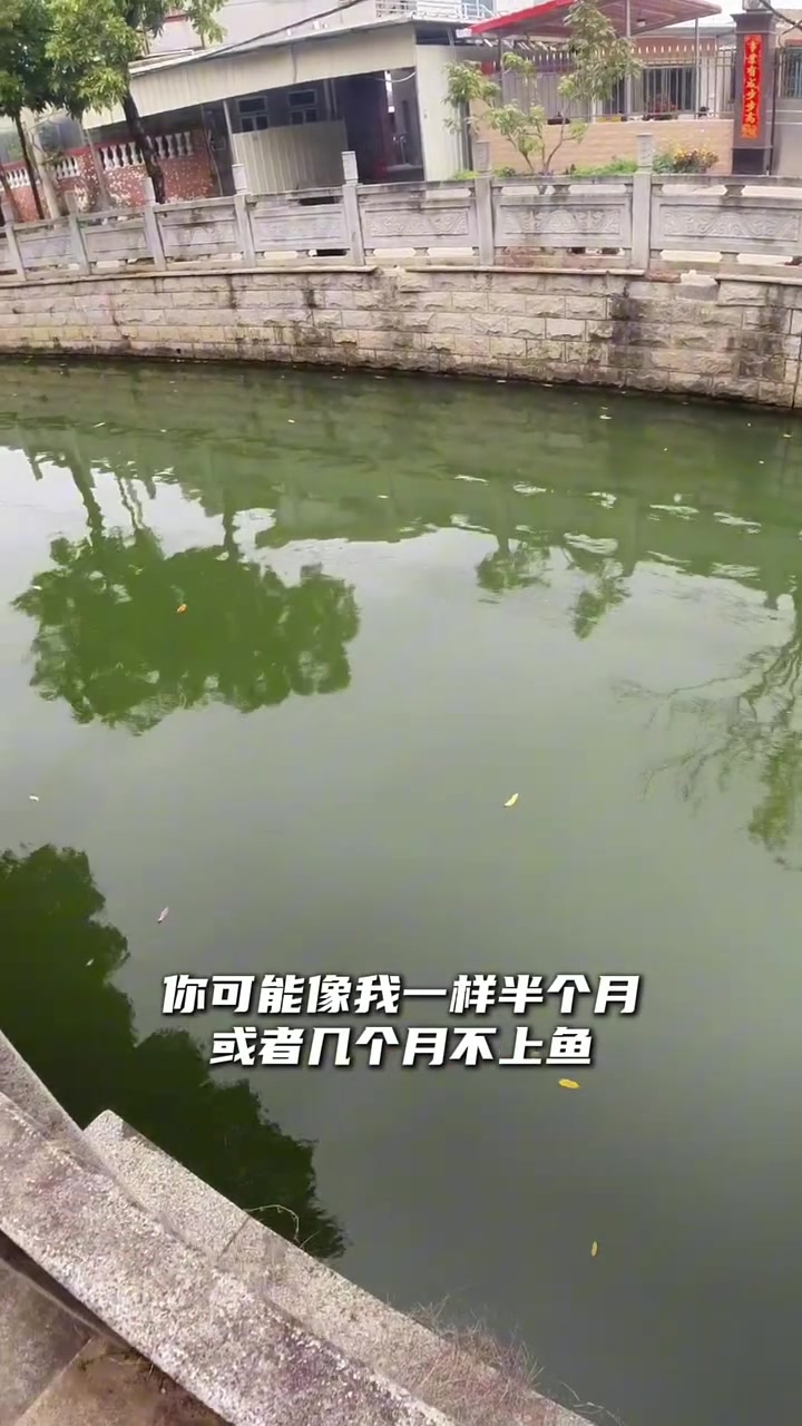 初入路亚坑(入手路亚)