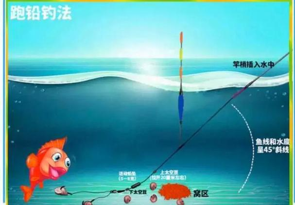秋天在水库钓鱼技巧视频(秋天水库钓鱼钓深水还是浅水)