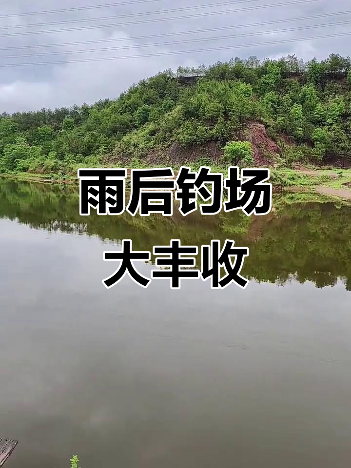 雨后河里钓鱼技巧(雨后钓鱼应该钓深水还是浅水)