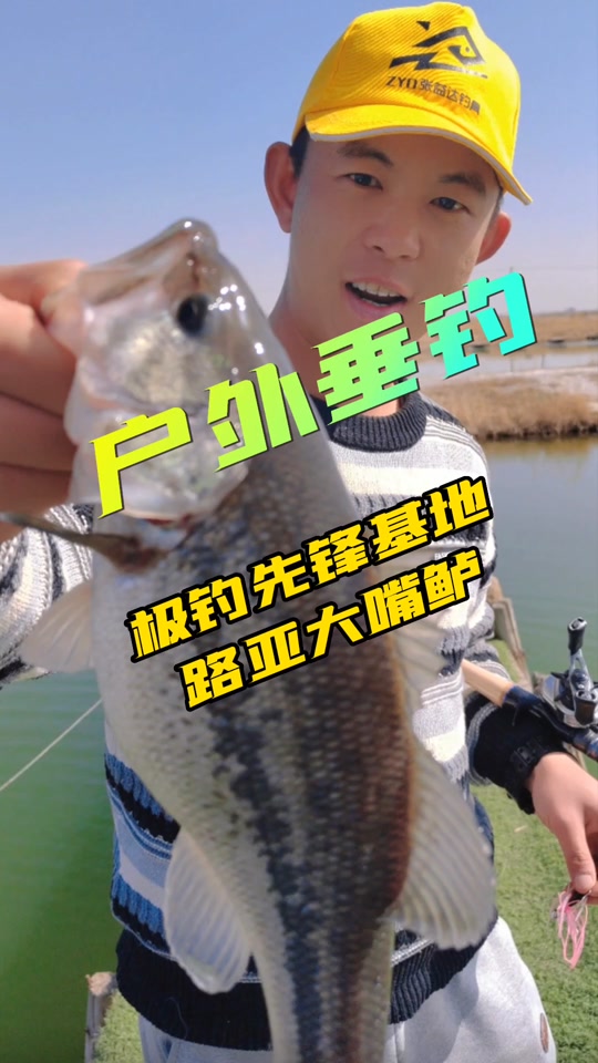 日照路亚钓(日照路亚基地怎么收费)
