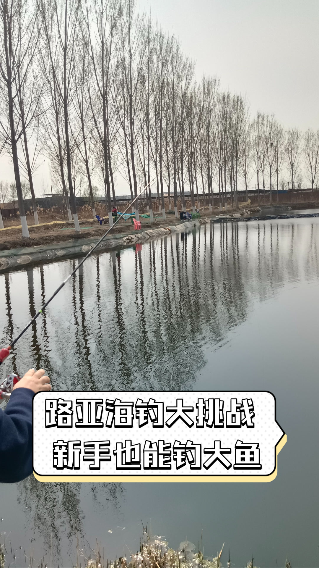 路亚与海钓(路亚海钓黑鱼黄鱼用什么假饵)