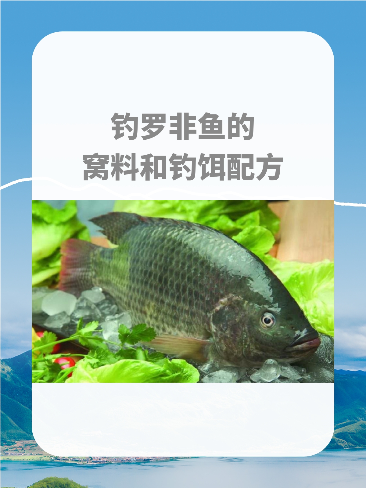 南方钓罗非用什么饵料(南方钓罗非鱼的必杀饵料)