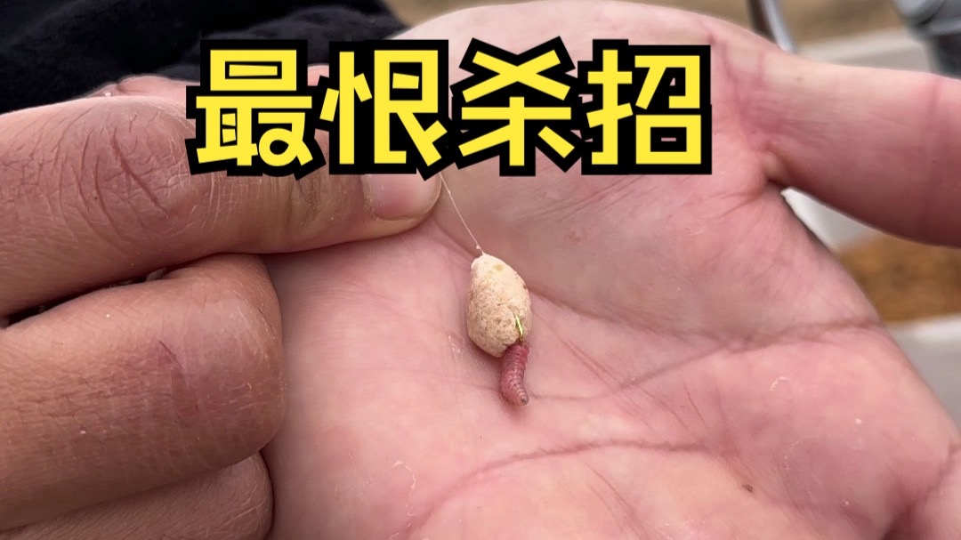 激活饵料用法视频(激活鱼饵)