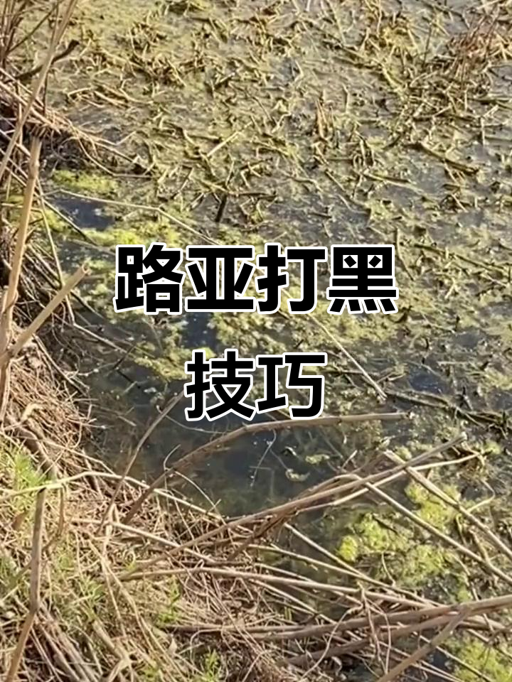 雷强技巧(雷强手法)