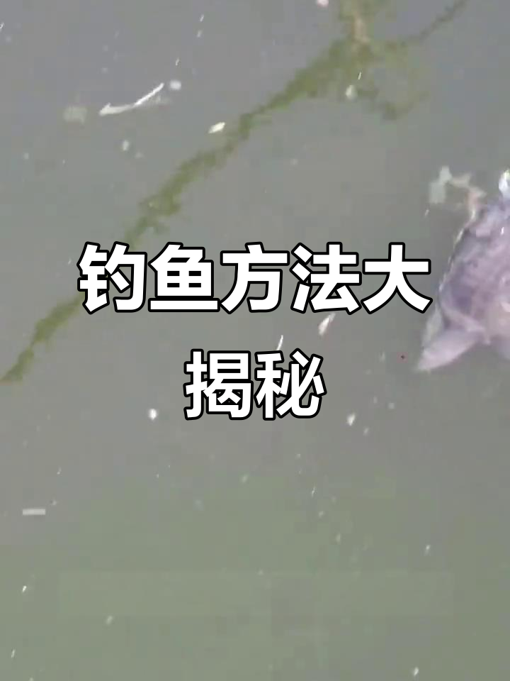 秋天用猪肝钓鱼技巧(天冷用猪肝钓鱼)