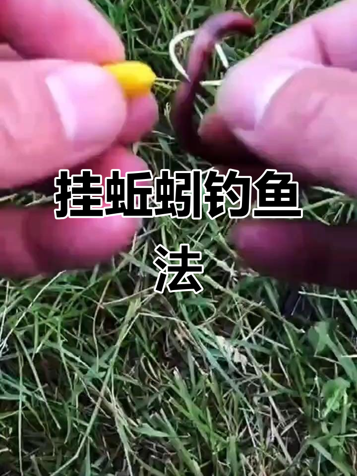 诱钓技巧(钓鱼如何诱鱼)