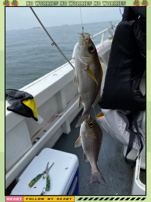码头海钓方法(码头海钓沉底还是钓浮)