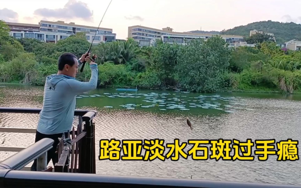 海滨路亚旅游(海滩路亚钓法)