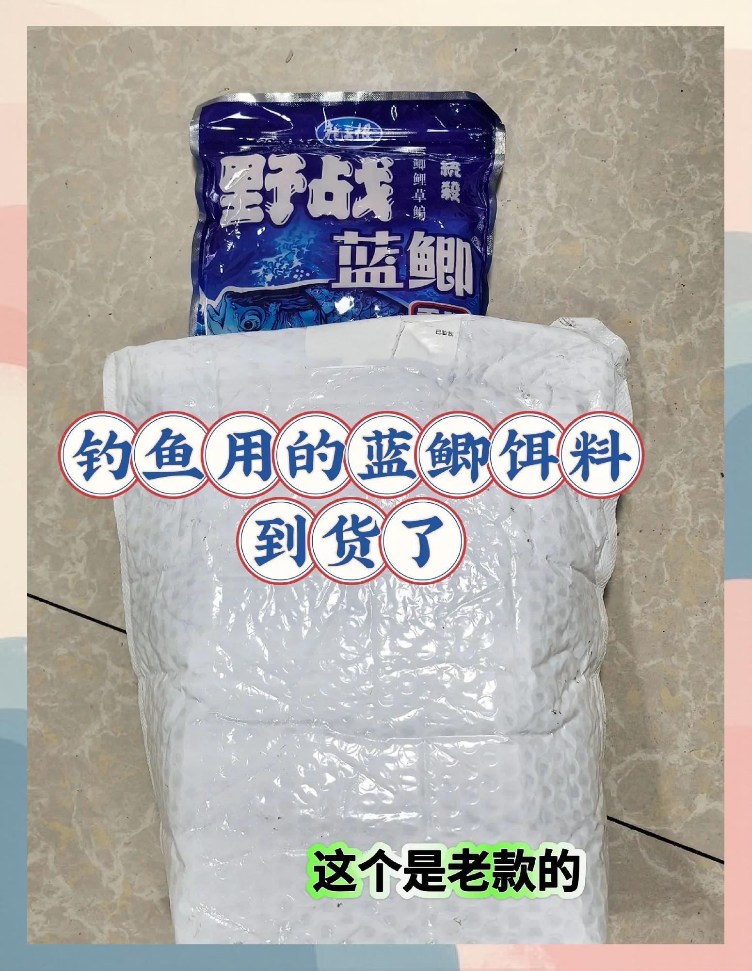 浪里鲫饵料(鲫浪是什么鱼)