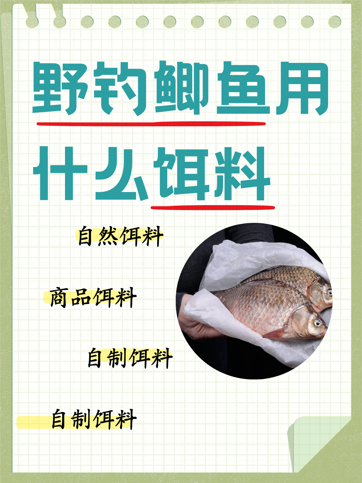 活饵诱钓鱼技巧(活饵钓法)