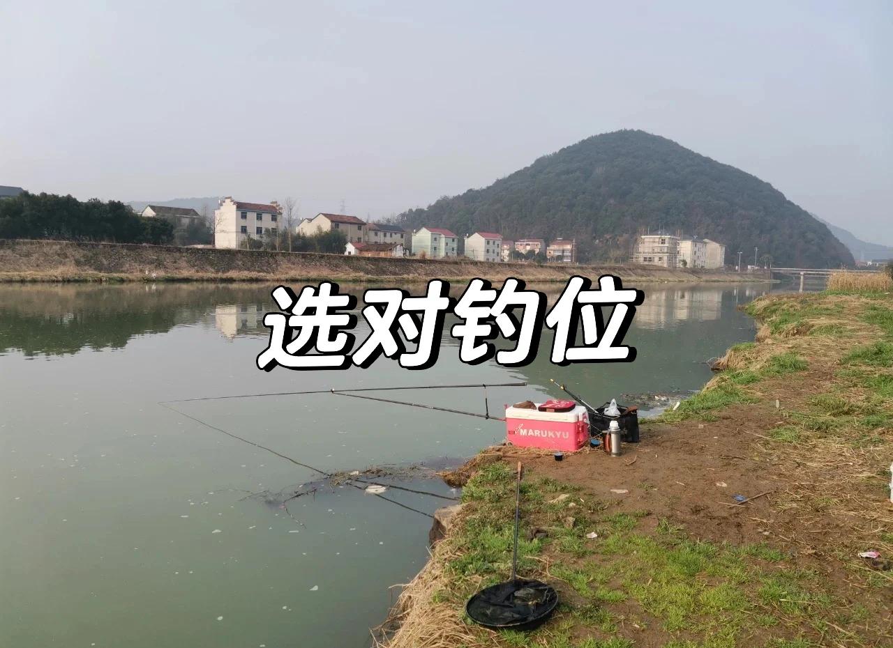 春天野钓鲤鱼的技巧(春天野钓鲤鱼怎么钓)