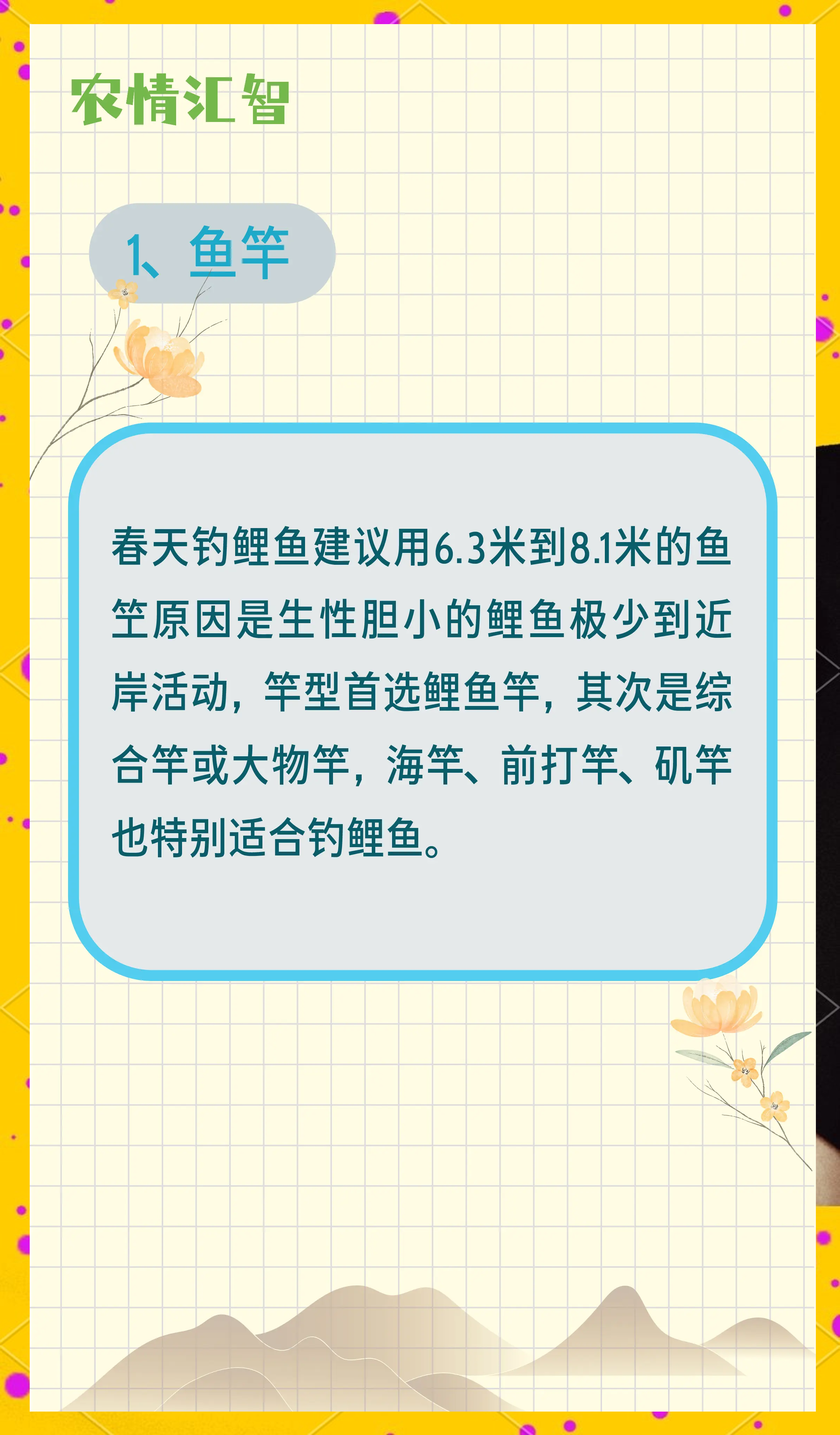 春天野钓鲤鱼的技巧(春天野钓鲤鱼怎么钓)