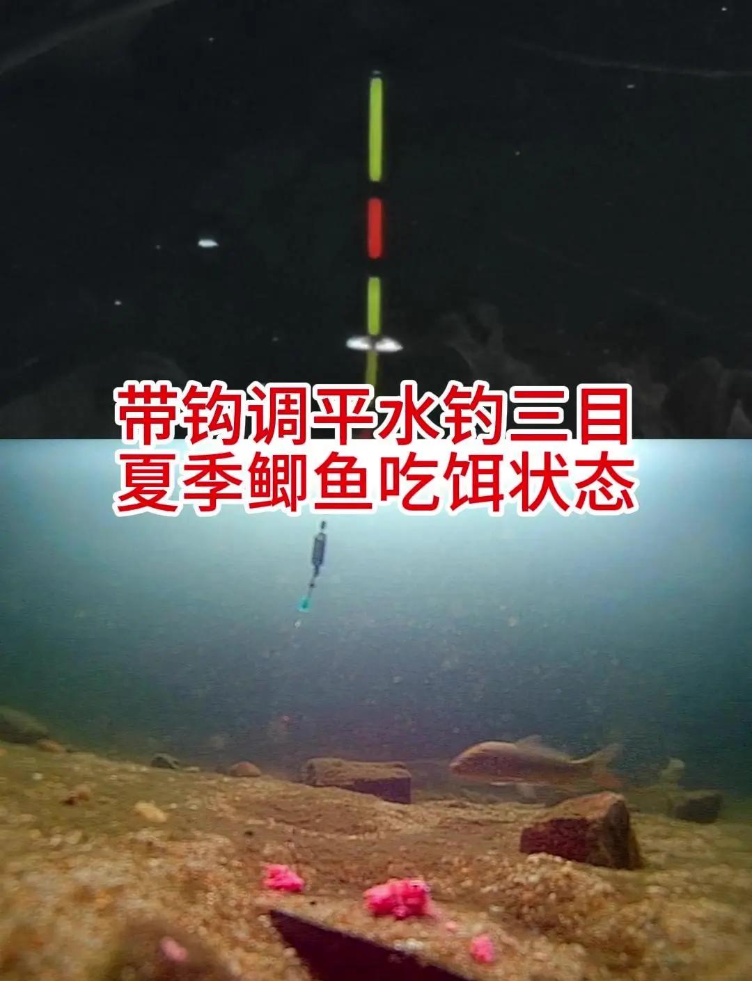 夏季钓鱼方法与技巧(夏季钓鱼小技巧)