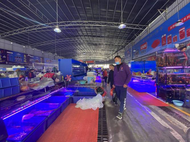 广州哪里有渔具市场(广州卖渔具的地方)