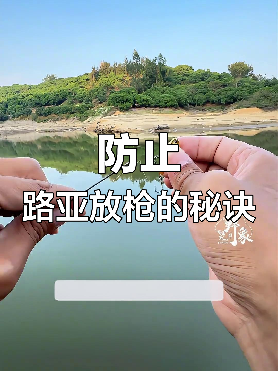 抛投与路亚(抛投竿和路亚竿有什么区别)
