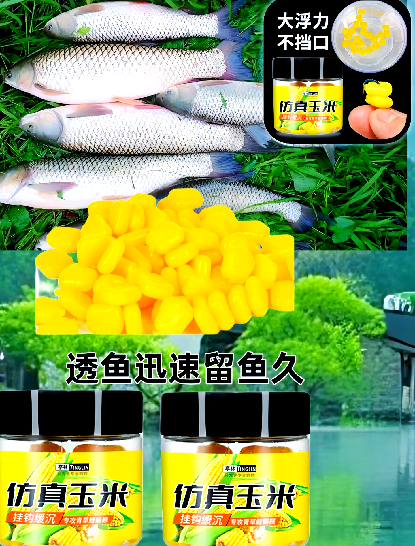 谷物类钓鱼饵料有哪些(谷物钓鱼配方)