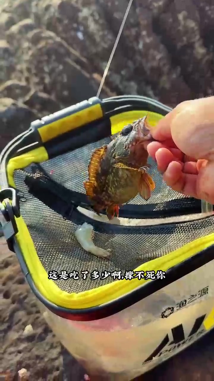 海钓竿能在河里钓鱼吗(海钓杆可以在水库钓吗)
