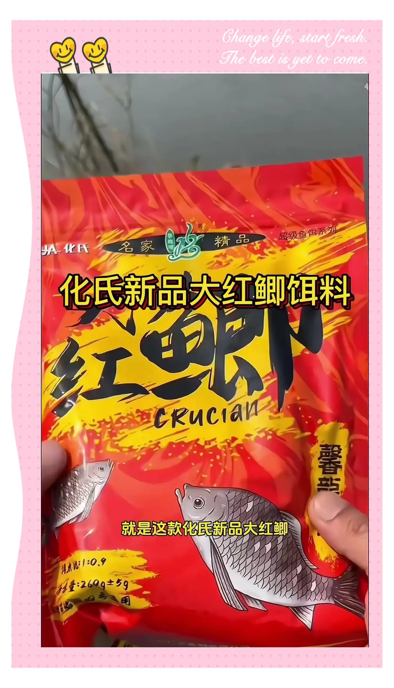 血鲫鱼饵料(血鲫鱼图片)