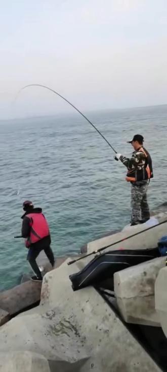 曹妃甸海钓月份(曹妃甸海钓鱼种)