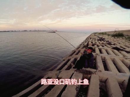曹妃甸海钓月份(曹妃甸海钓鱼种)