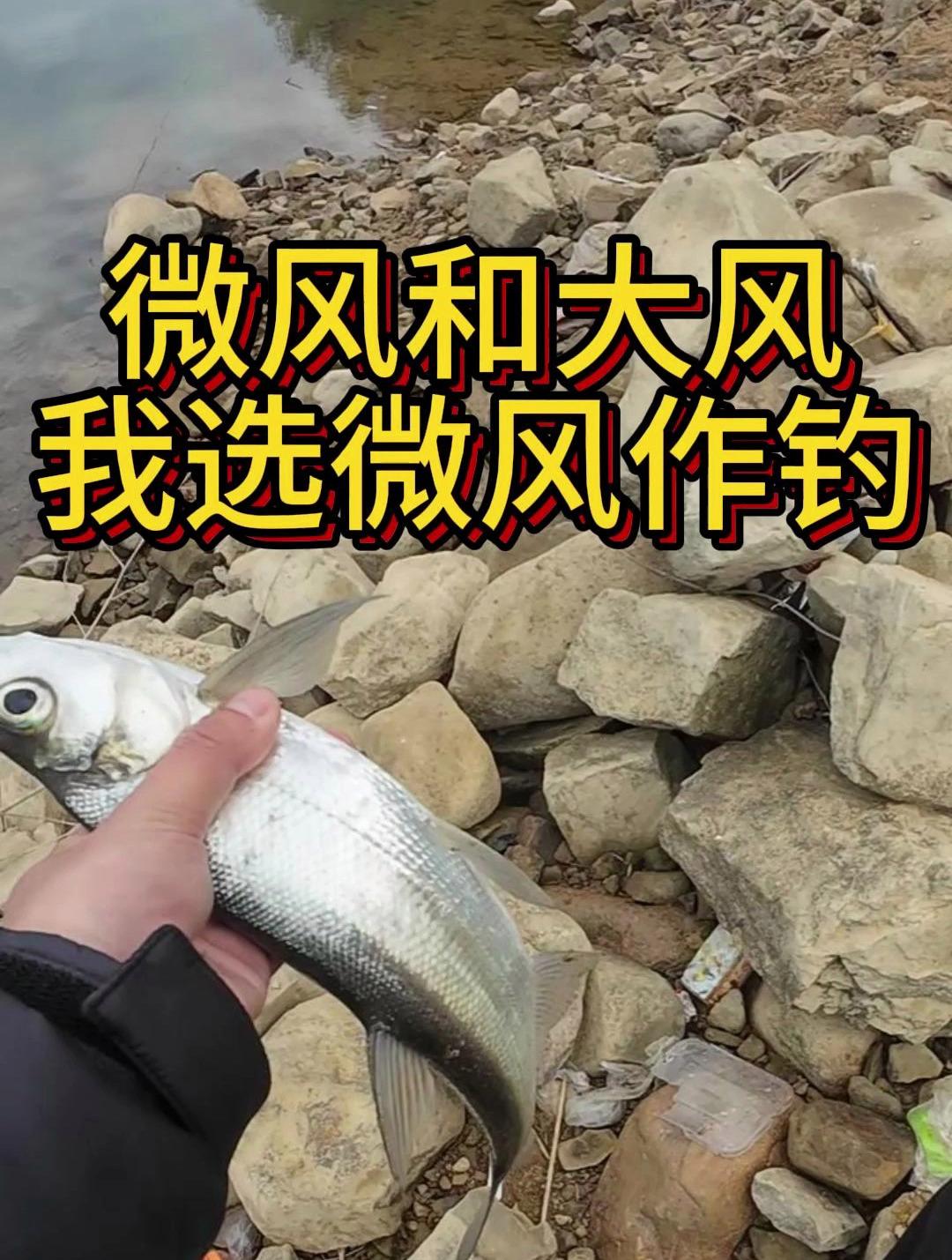 大风怎么打路亚(大风能路亚钓鱼吗)