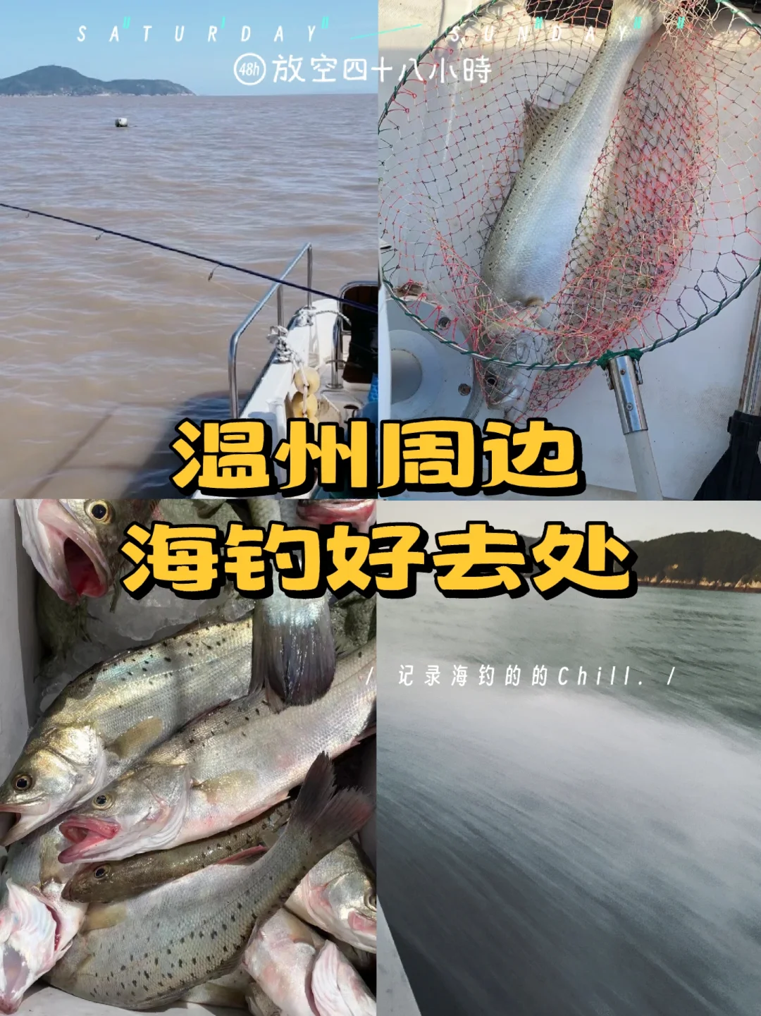 温州海钓(温州海钓哪个地方好)