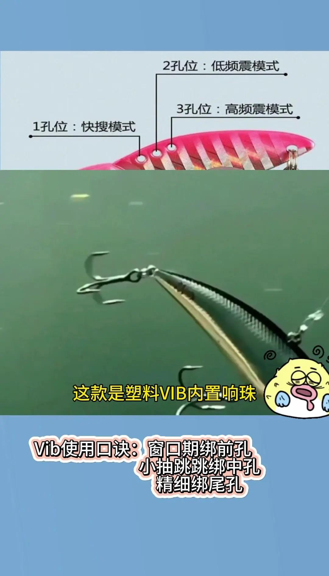 路亚新手饵推荐(路亚新手入门用什么饵)