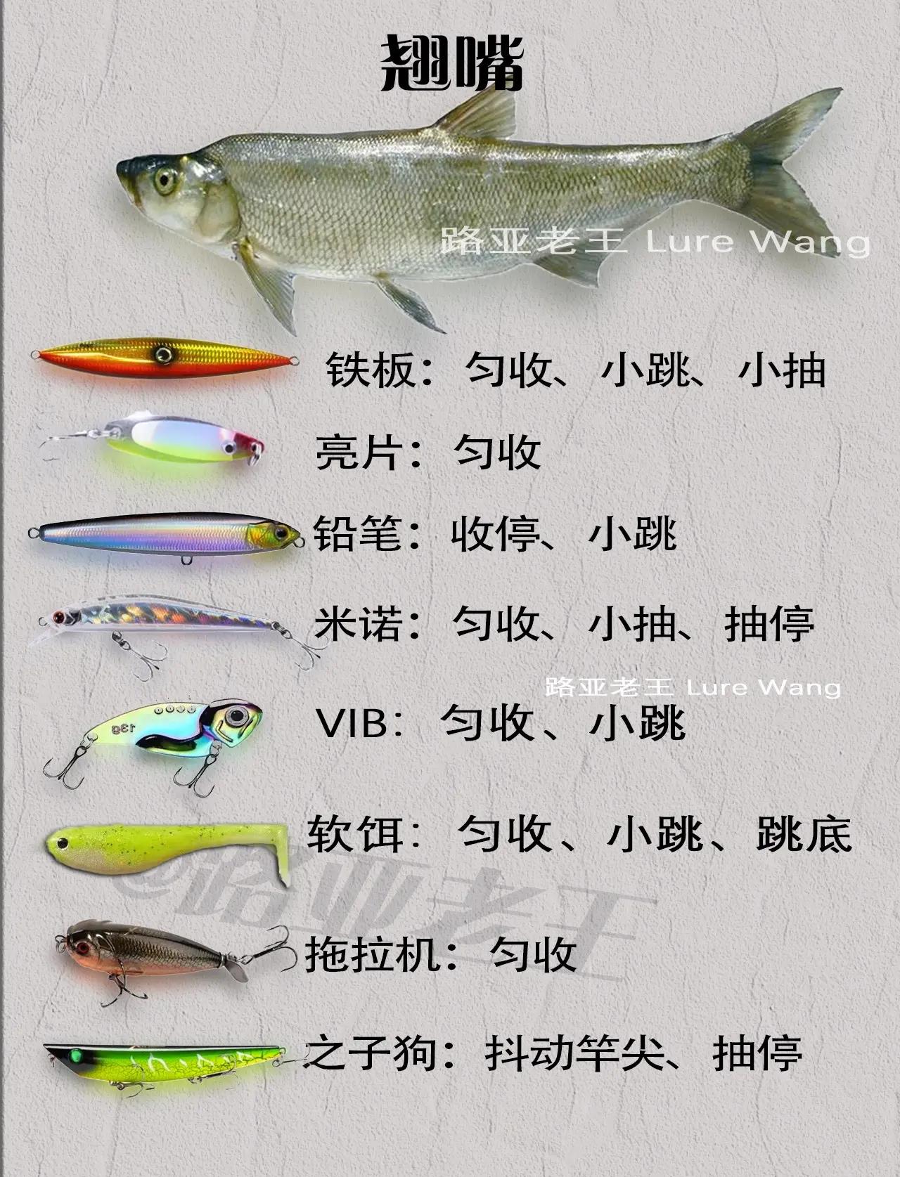 路亚米诺假鱼钓组图解(路亚米诺钓法教学)