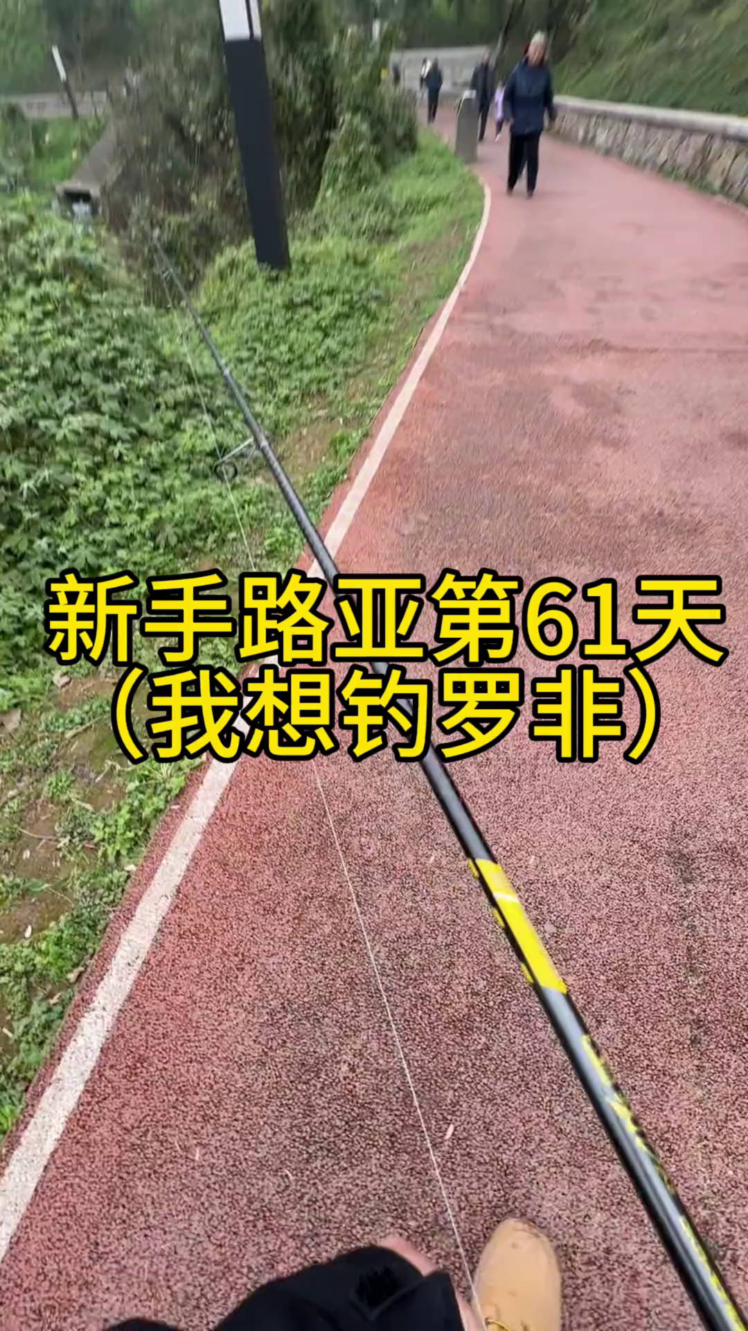 秋钓罗非技巧(秋季野钓罗非)