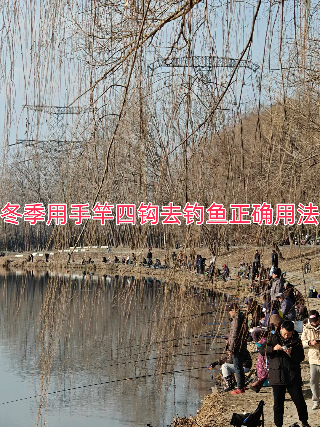 广东地区冬天钓鲤女技巧(广东冬天钓鲫鱼技巧)