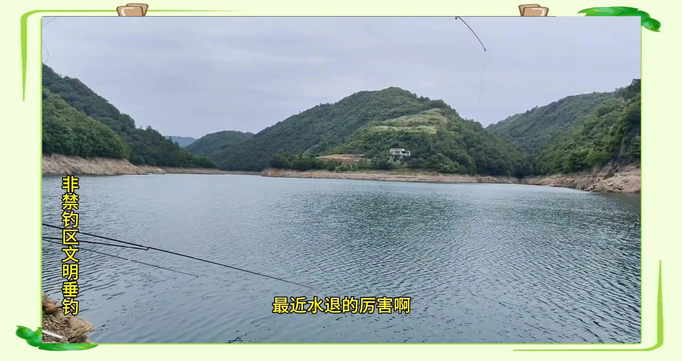 水库钓黄颖技巧(大水库如何钓黄尾)