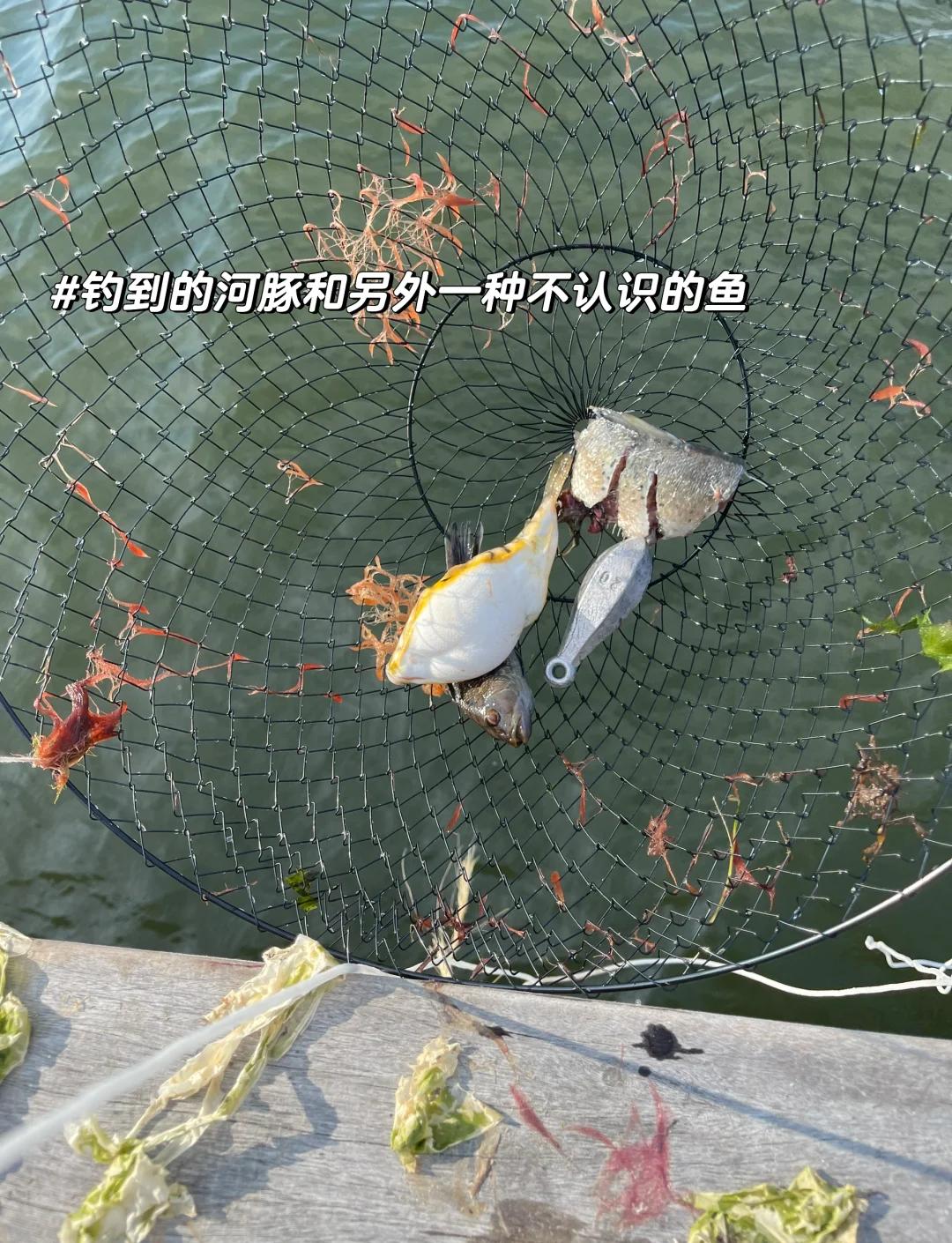 长岛海钓季节(长岛钓鱼岛赶海攻略)