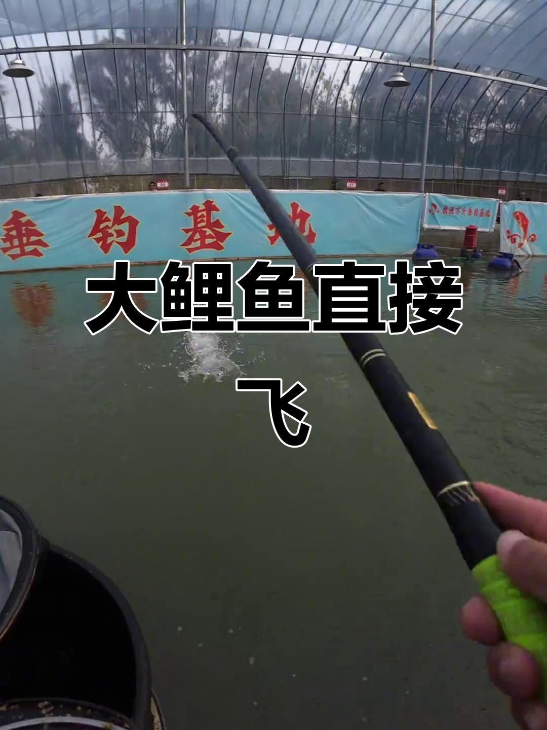 飞鲤鱼的技巧视频教程(飞鲤鱼的技巧视频教程完整版)