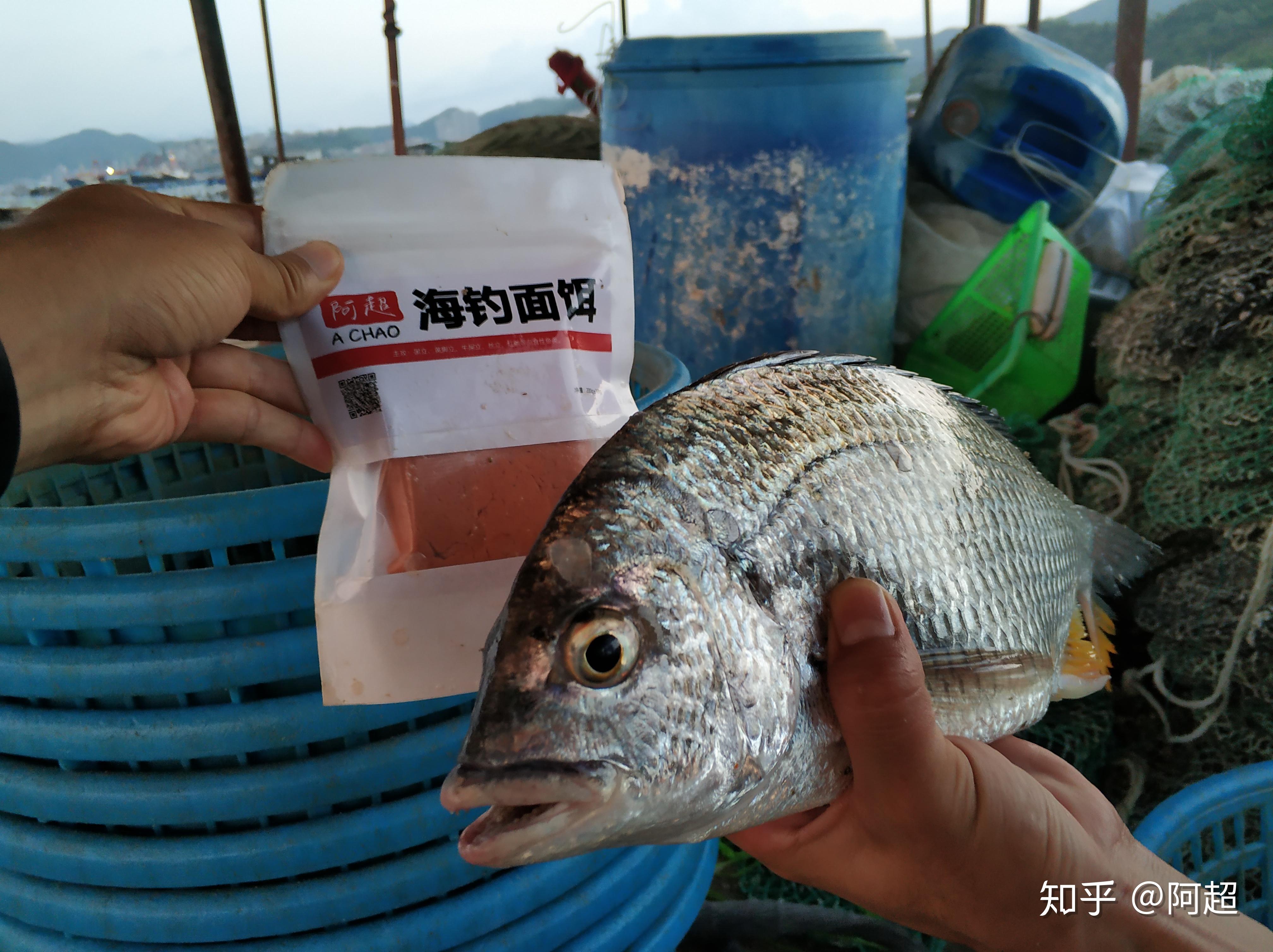 阿超海钓怎么样(阿超海鲜烧烤东至路店)
