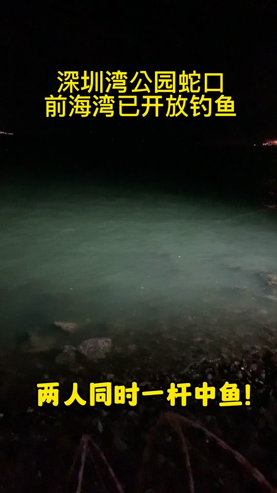 青岛前海钓鱼预约(青岛前海渔村)