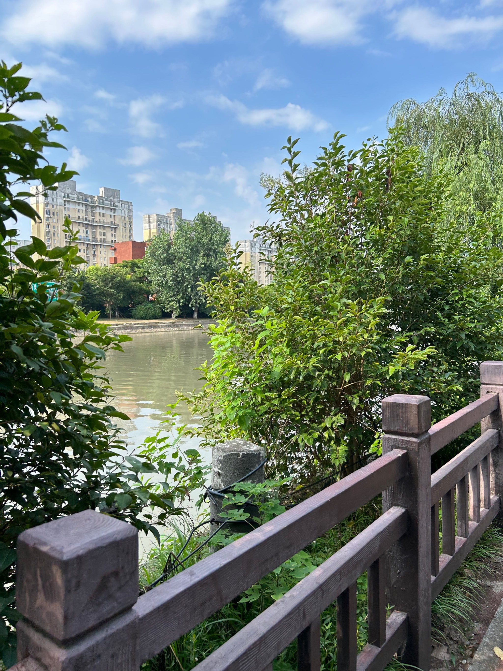 川杨河路亚(川杨河 钓鱼)