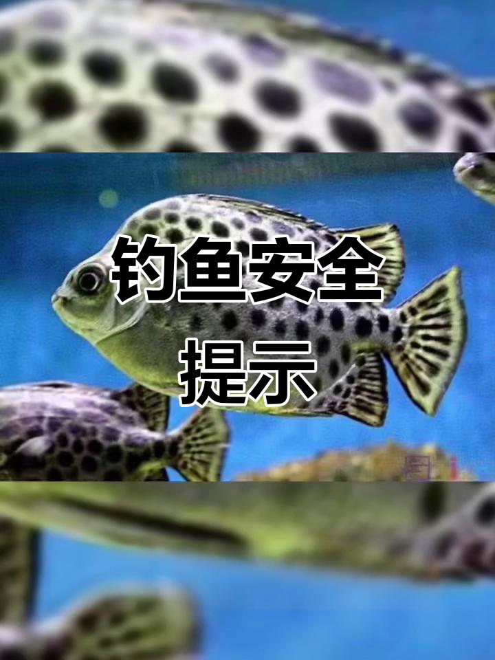 海钓有什么风险(海钓会钓到什么鱼)