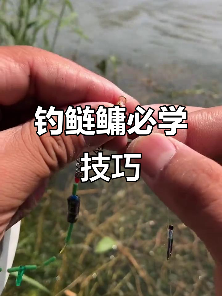 秋冬钓鲢鳙技巧(秋冬钓鲢鳙用什么饵料)